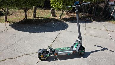ECOXTREM M41  1000W 