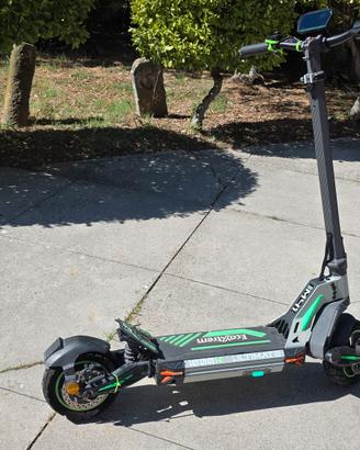ECOXTREM M41  1000W 