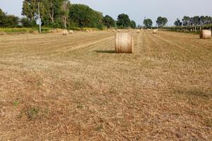 Terreno agricolo - 18700 mq - Latina