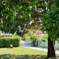 Villetta indipendente La Magnolia