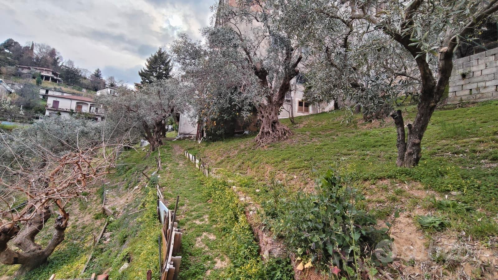Ampio Terreno Edificabile Montalto Uffugo - Vista 5