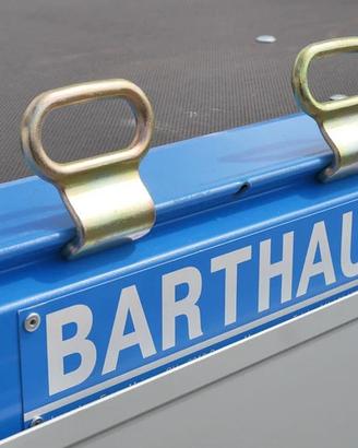 Prontissma consegna Barthau EH300x170 cm