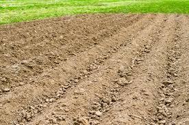 Altino, terreno coltivabile recintato