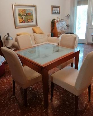 Sedie poltroncina Calligaris