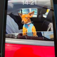 iPad Air M1 Blu 64GB Wi-Fi + 5G