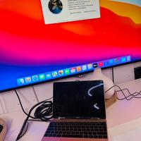 MacBook  A1534 12" mid  2015 ssd 256 gb 8 gb ram