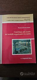 contributo allo studio dei modelli organizzativi i