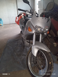 Pegaso 650