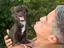 Immagine 4