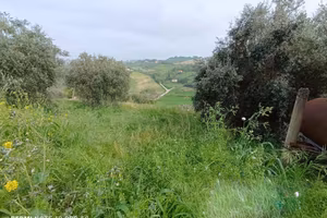 Terreno a Macerata - Periferia