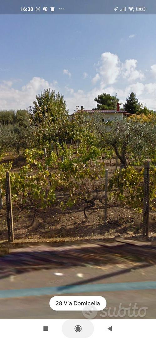 Terreno con fabbricato - Vista 3
