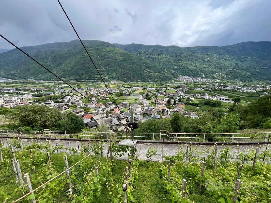 TER. AGRICOLO A VILLA DI TIRANO - Vista 5
