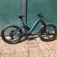 Bici elettrica electric bike
