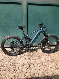 Bici elettrica electric bike