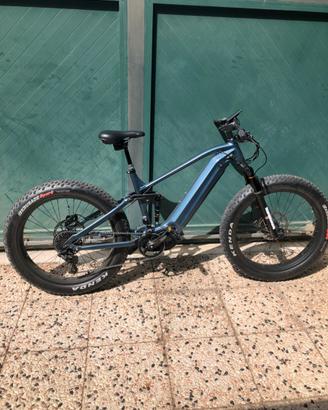 Bici elettrica electric bike