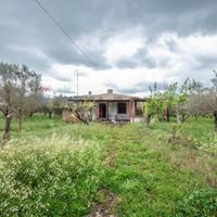 Casa Indipendente - Caltagirone