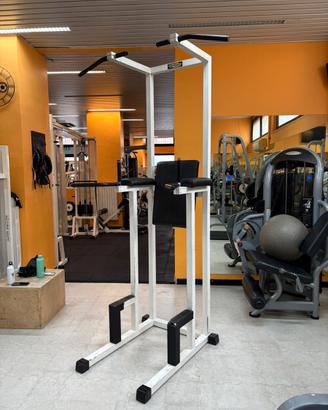Combinata Trazioni / Parallele Technogym