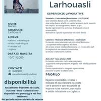 Cameriera,babysitter,pet sitter,gelataia