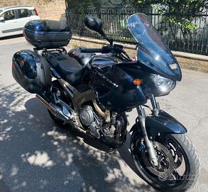 Yamaha TDM 900 maggio 2002 blu scuro
