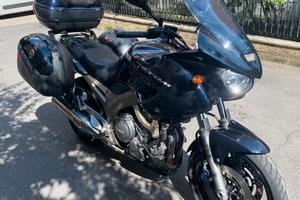 Yamaha TDM 900 maggio 2002 blu scuro