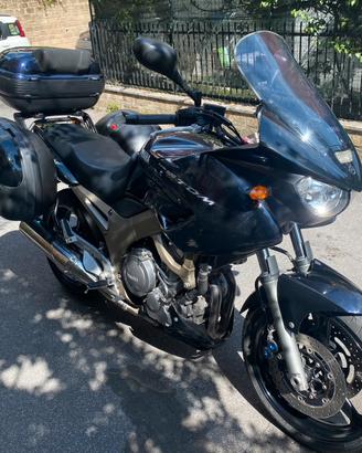Yamaha TDM 900 maggio 2002 blu scuro