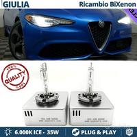 Lampadine XENON D5S per Alfa Romeo GIULIA 6000K