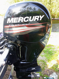 Quicksilver activ 595 Mercury 150efi 114h
