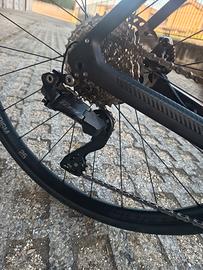 bici Trek domane elettrica 