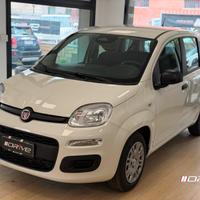 FIAT Panda 3ª serie Panda 1.0 FireFly S&S Hybr...
