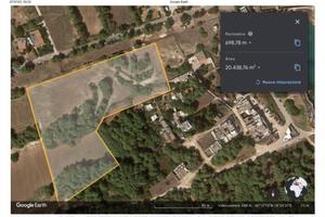 Terreno agricolo vicino al mare