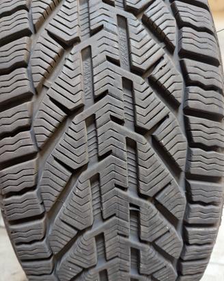 gomme neve