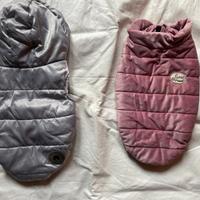 Cappottini cane chihuahua