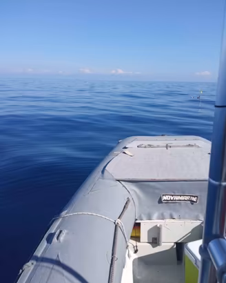 Novamarine 2 rh 540