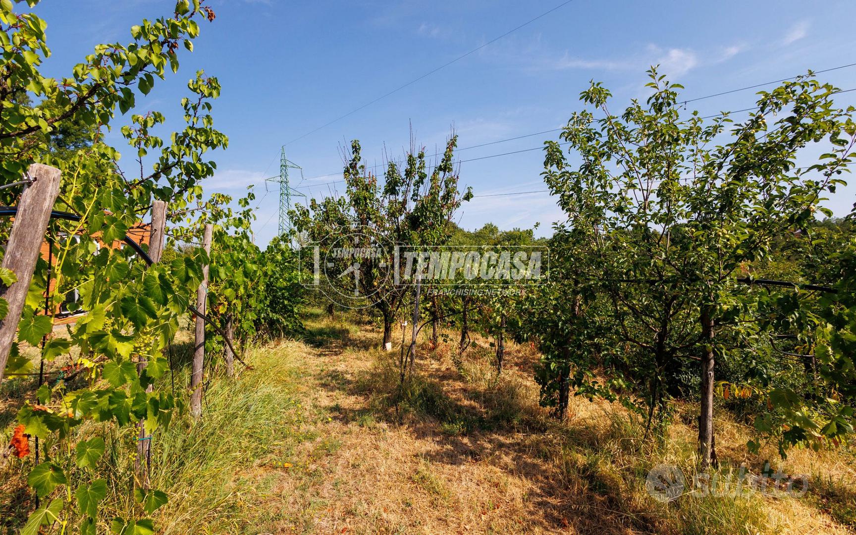 Terreno agricolo a Sala Baganza Via Maiatico - Altro