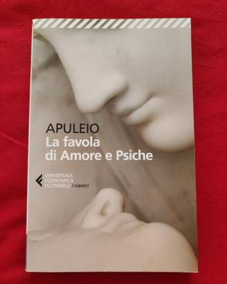 Libro  "Amore e Psiche"