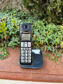 Telefono cordless Panasonic KX TG1031