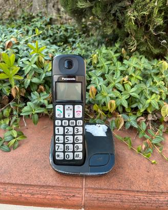 Telefono cordless Panasonic KX TG1031