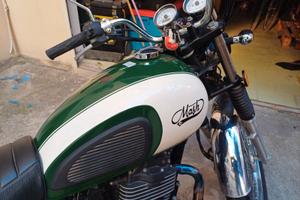 Mash Altro modello - 2021