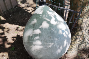 Boa gonfiabile per barche a vela