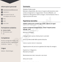 Autista B/ magazziniere su turni/ disp padroncino