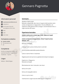 Autista B/ magazziniere su turni/ disp padroncino