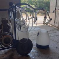 Mungitrice carrellata Interpuls