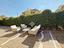 Immagine 15