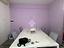 Immagine 12