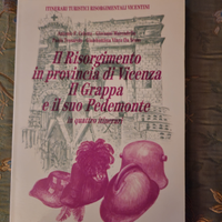 Il Risorgimento in provincia di Vicenza
