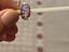 Immagine 5
