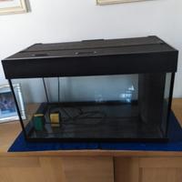 acquario 
