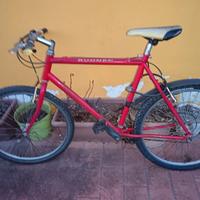 mountain bike