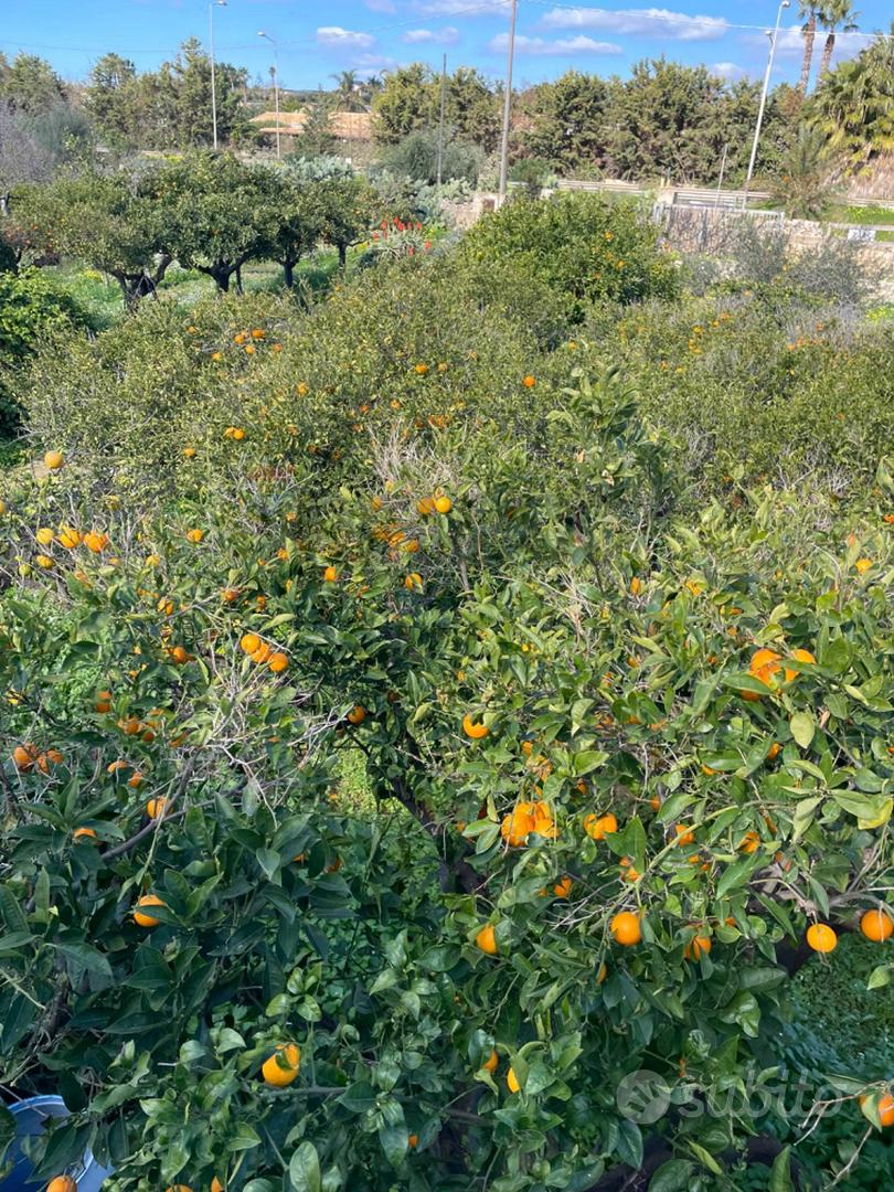 Rustico - Scicli - Vista 2
