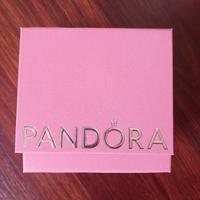 PANDORA 2 charm e una catenina 